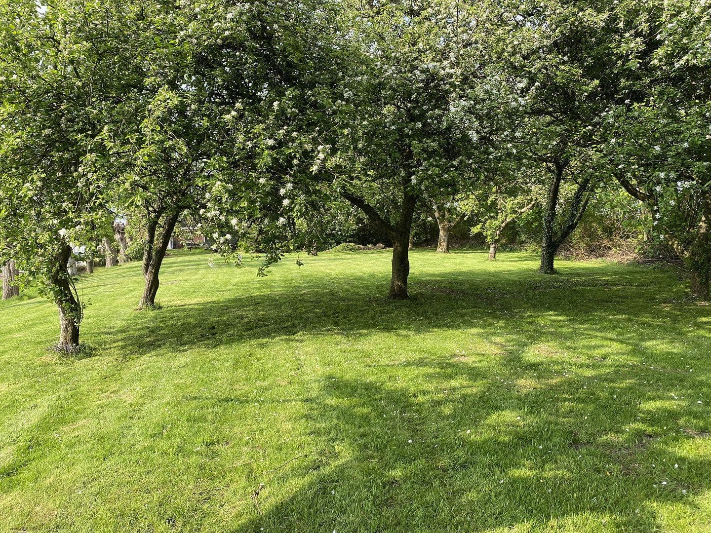 Prodej domu 139 m², pozemek 3.140 m², Oederquart, Dolní Sasko Prodej domu 139 m², pozemek 3.140 m², Oederquart, Dolní Sasko