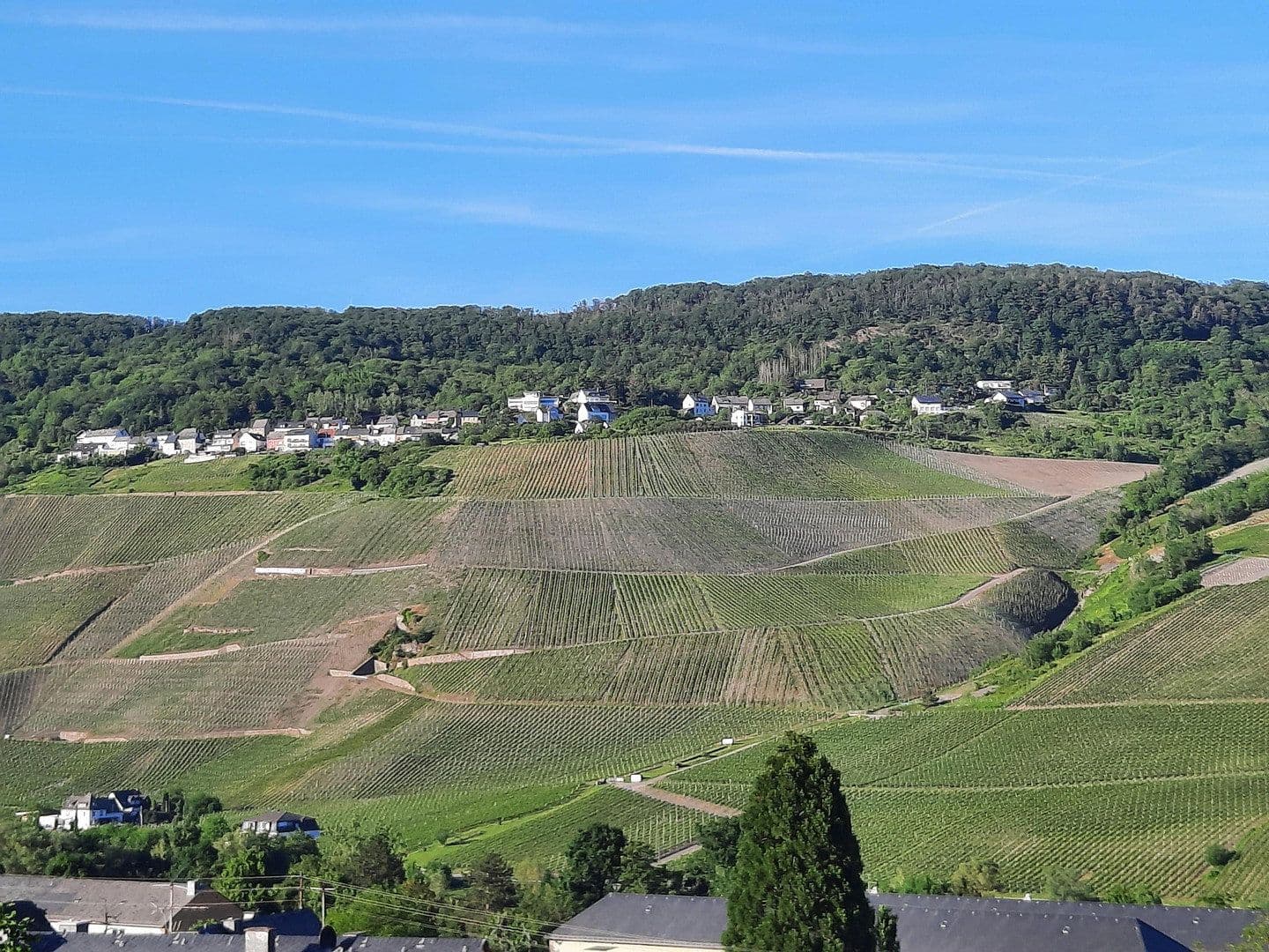 Prodej bytu 3+1 81 m², Bernkastel-Kues, Porýní-Falc Prodej bytu 3+1 81 m², Bernkastel-Kues, Porýní-Falc