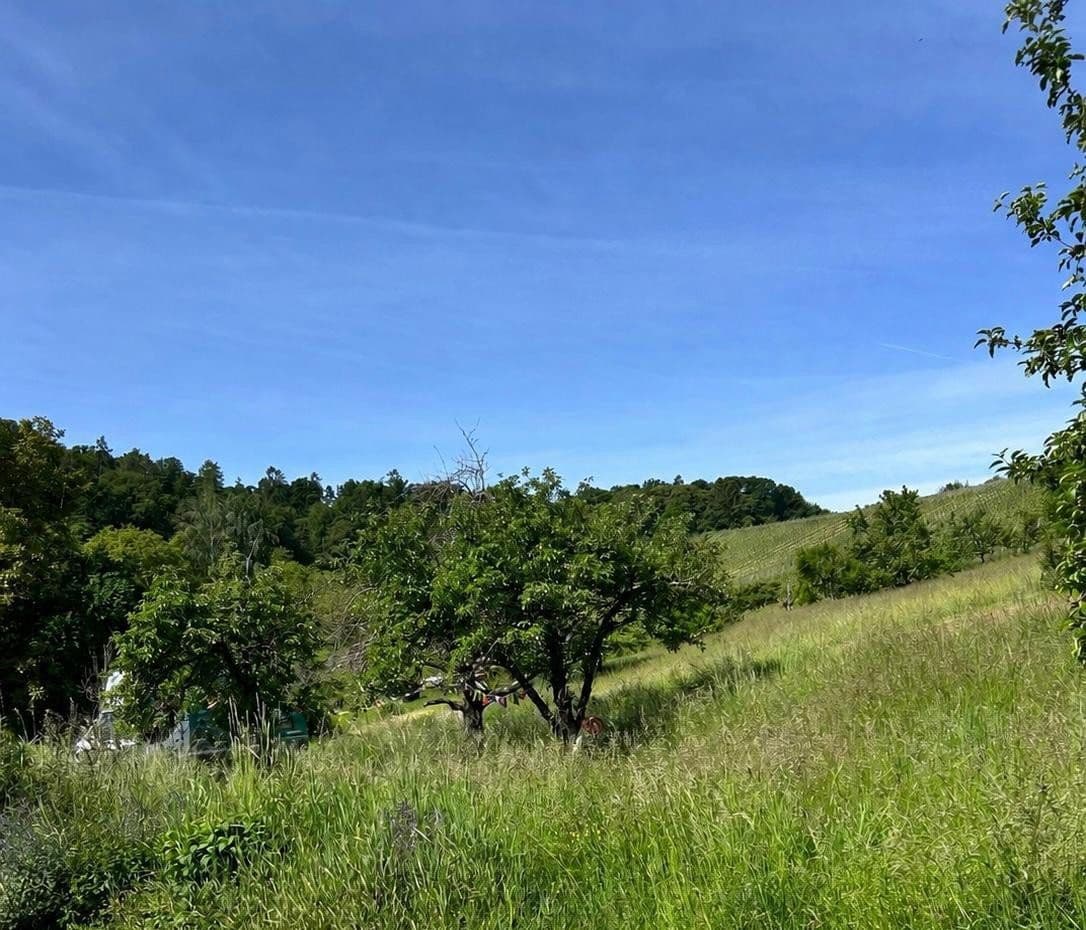 Prodej bytu 2+1 65 m², Weinstadt, Bádensko-Württembersko Prodej bytu 2+1 65 m², Weinstadt, Bádensko-Württembersko
