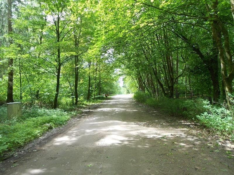 Prodej pozemku 2.060 m², Alter Postweg 137, Neu Wulmstorf, Dolní Sasko Prodej pozemku 2.060 m², Alter Postweg 137, Neu Wulmstorf, Dolní Sasko
