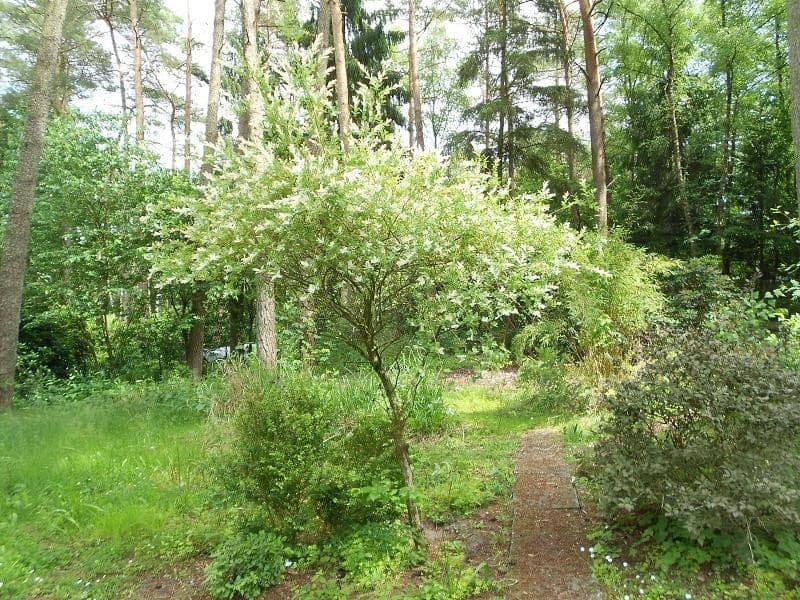 Prodej pozemku 2.060 m², Alter Postweg 137, Neu Wulmstorf, Dolní Sasko Prodej pozemku 2.060 m², Alter Postweg 137, Neu Wulmstorf, Dolní Sasko