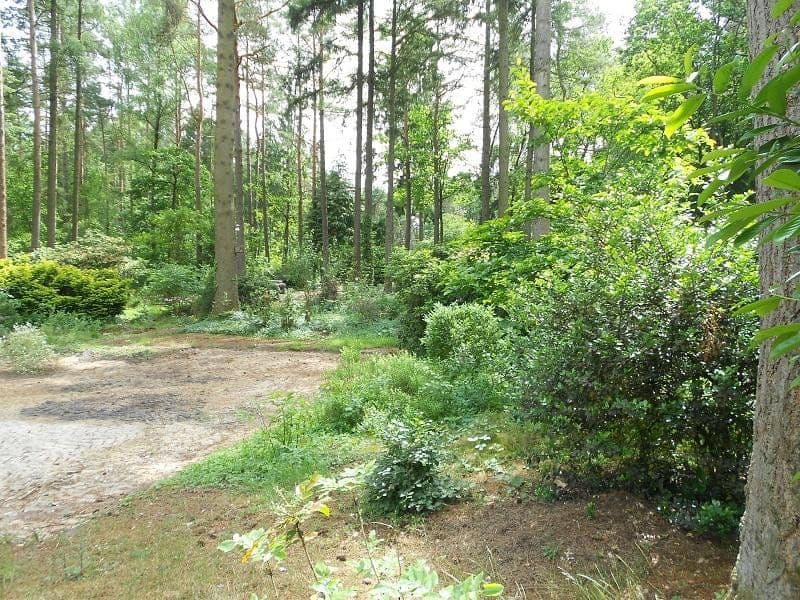 Prodej pozemku 2.060 m², Alter Postweg 137, Neu Wulmstorf, Dolní Sasko Prodej pozemku 2.060 m², Alter Postweg 137, Neu Wulmstorf, Dolní Sasko