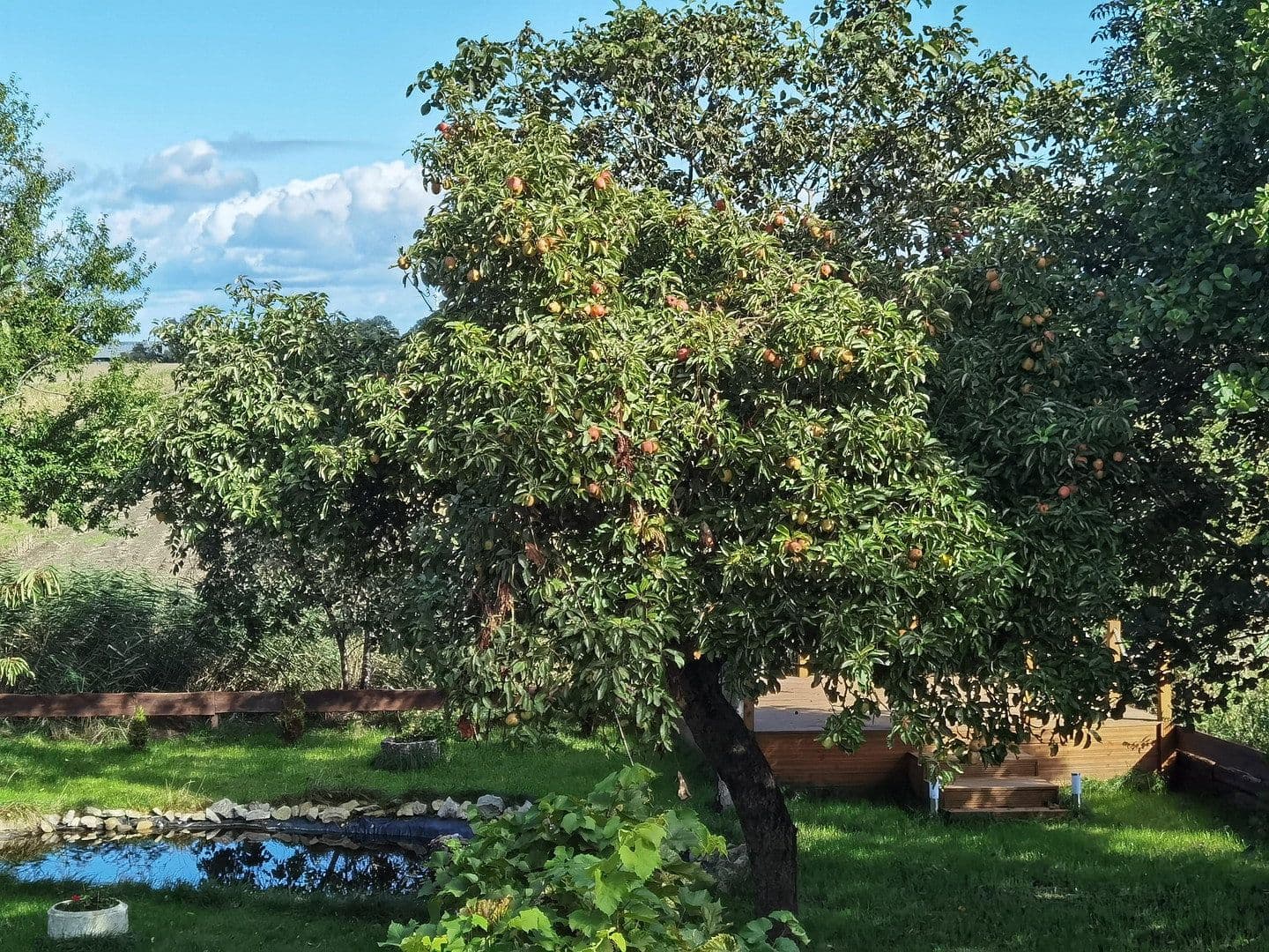 Prodej domu 243 m², pozemek 1.238 m², Nordleda, Dolní Sasko Prodej domu 243 m², pozemek 1.238 m², Nordleda, Dolní Sasko