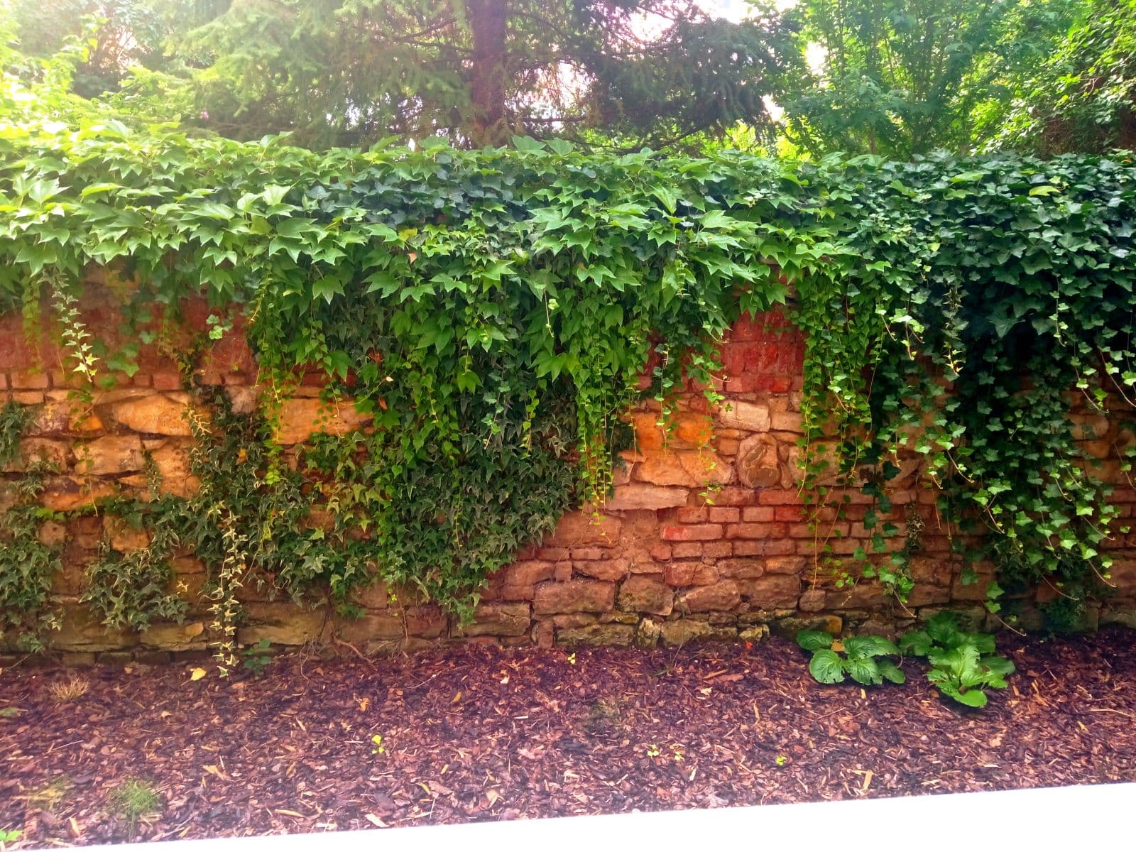 Pronájem bytu 1+kk 38 m², Ruská, Praha, Praha Pronájem bytu 1+kk 38 m², Ruská, Praha, Praha