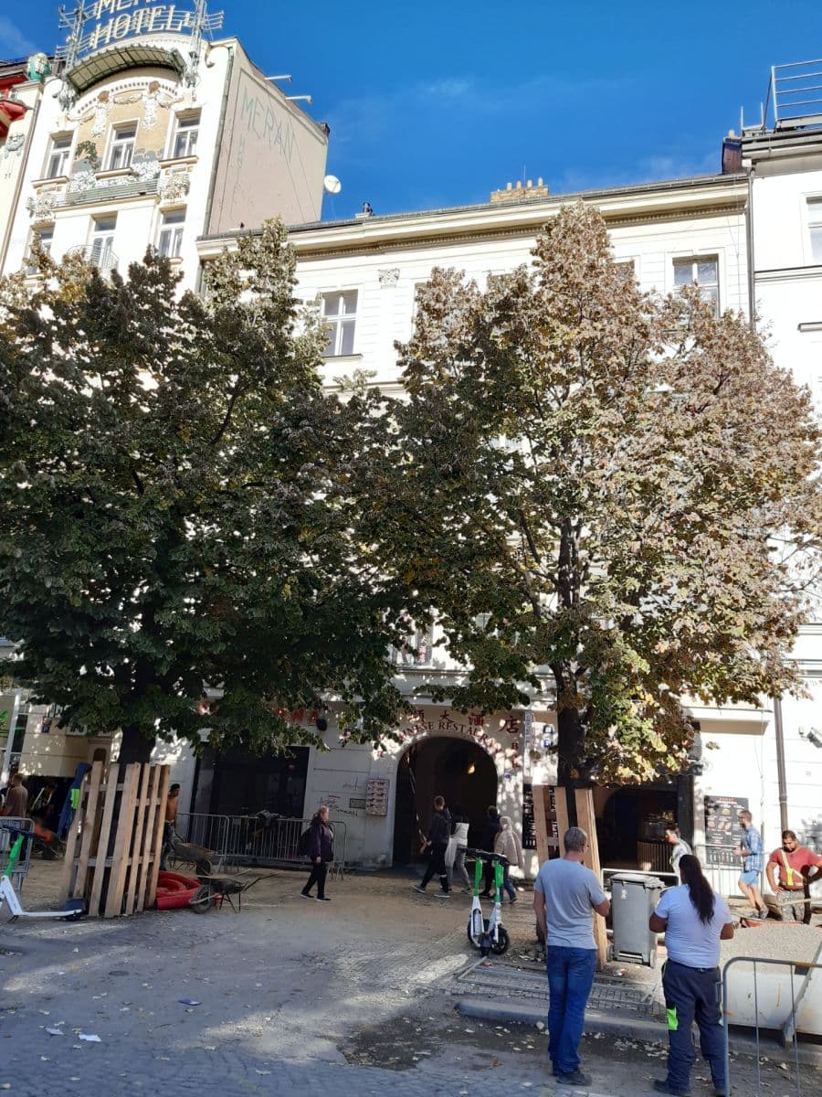 Pronájem bytu 1+1 51 m², Václavské náměstí, Praha, Praha Pronájem bytu 1+1 51 m², Václavské náměstí, Praha, Praha