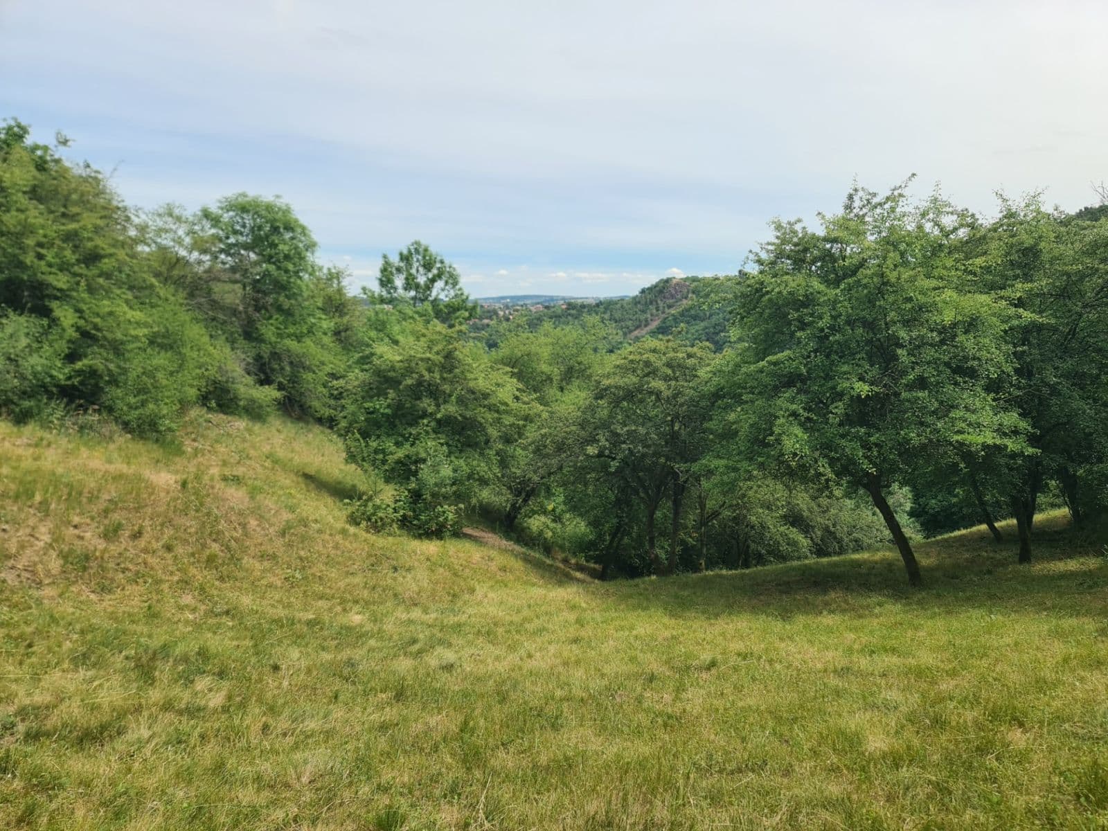 Prodej pozemku 6.900 m², Úholičky, Středočeský kraj Prodej pozemku 6.900 m², Úholičky, Středočeský kraj