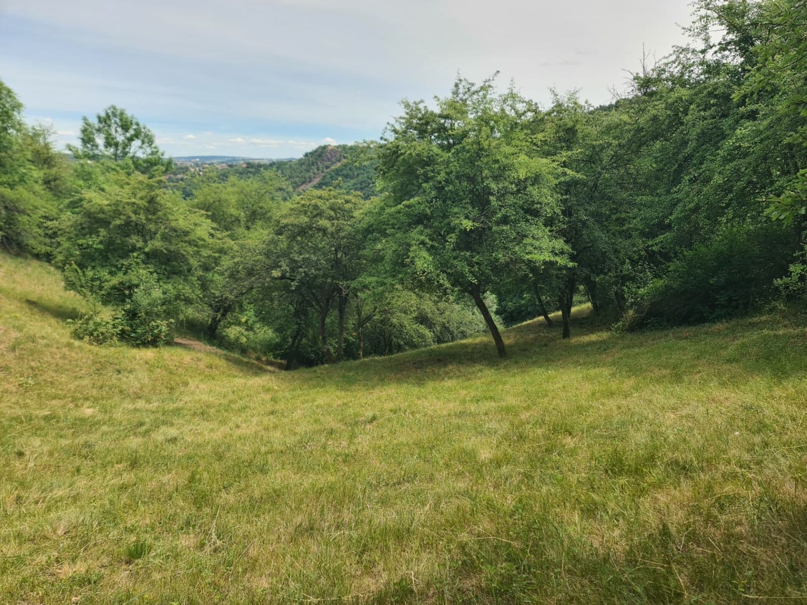 Prodej pozemku 6.900 m², Úholičky, Středočeský kraj Prodej pozemku 6.900 m², Úholičky, Středočeský kraj