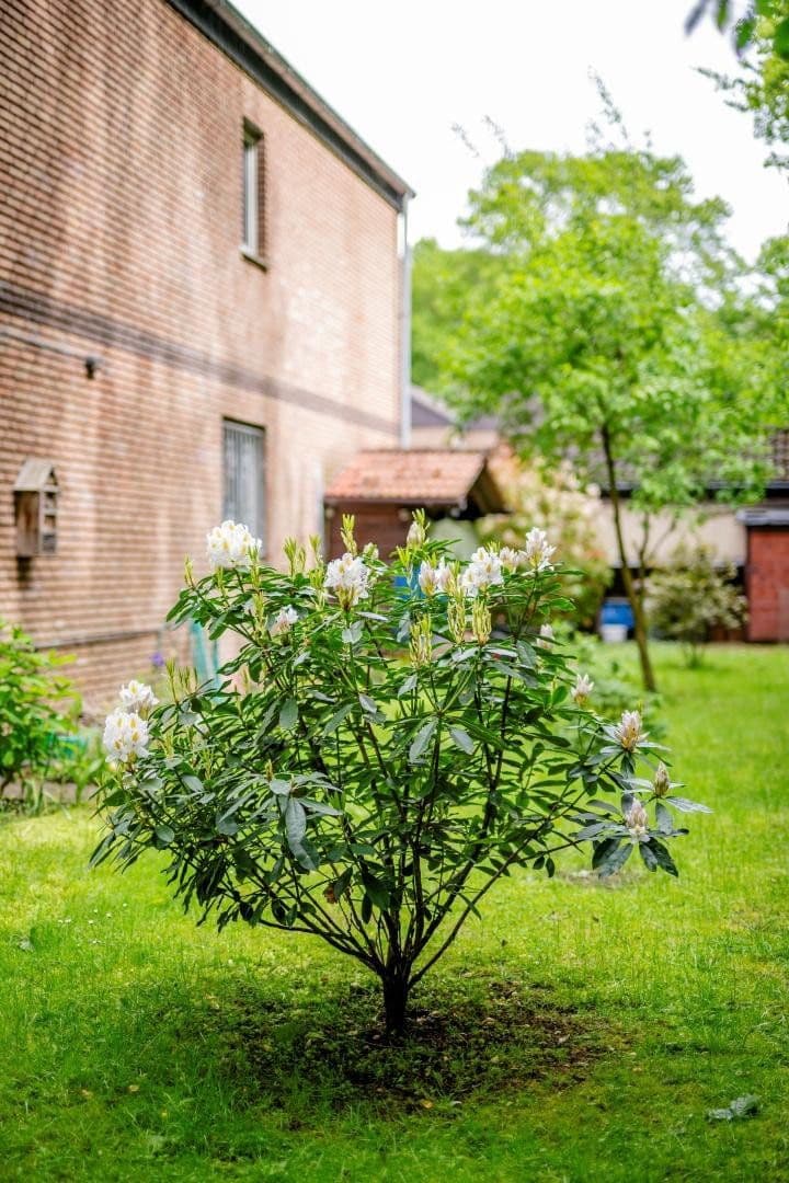Prodej domu 113 m², pozemek 564 m², Marl, Severní Porýní-Vestfálsko Prodej domu 113 m², pozemek 564 m², Marl, Severní Porýní-Vestfálsko