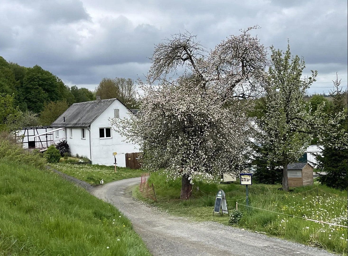 Prodej domu 393 m², pozemek 32.368 m², Schleiz, Durynsko Prodej domu 393 m², pozemek 32.368 m², Schleiz, Durynsko
