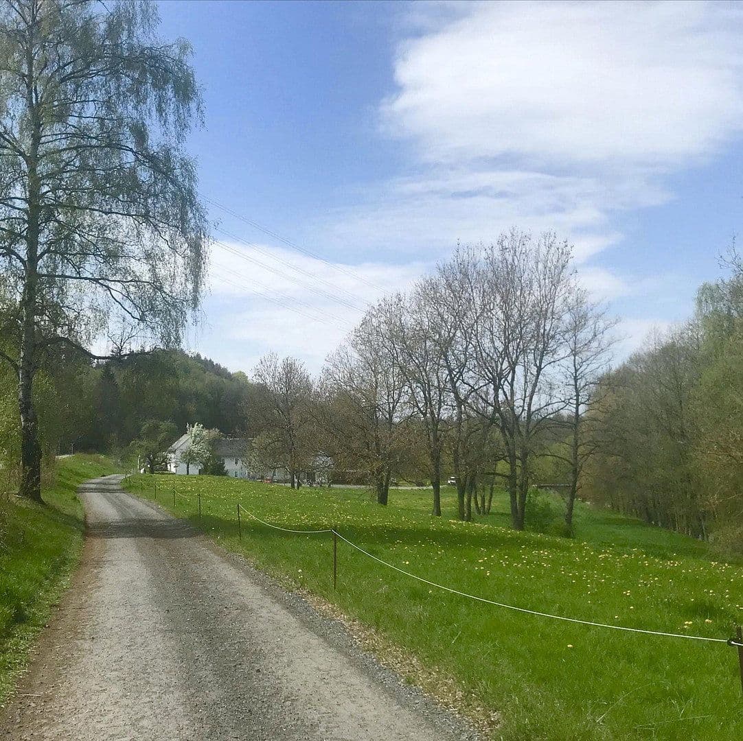 Prodej domu 393 m², pozemek 32.368 m², Schleiz, Durynsko Prodej domu 393 m², pozemek 32.368 m², Schleiz, Durynsko