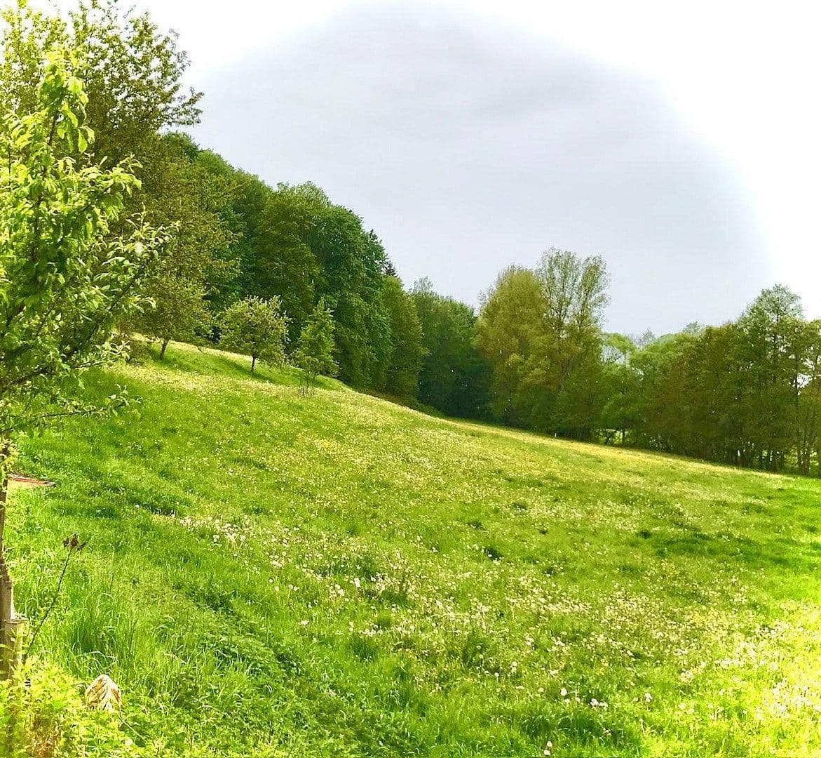 Prodej domu 393 m², pozemek 32.368 m², Schleiz, Durynsko Prodej domu 393 m², pozemek 32.368 m², Schleiz, Durynsko