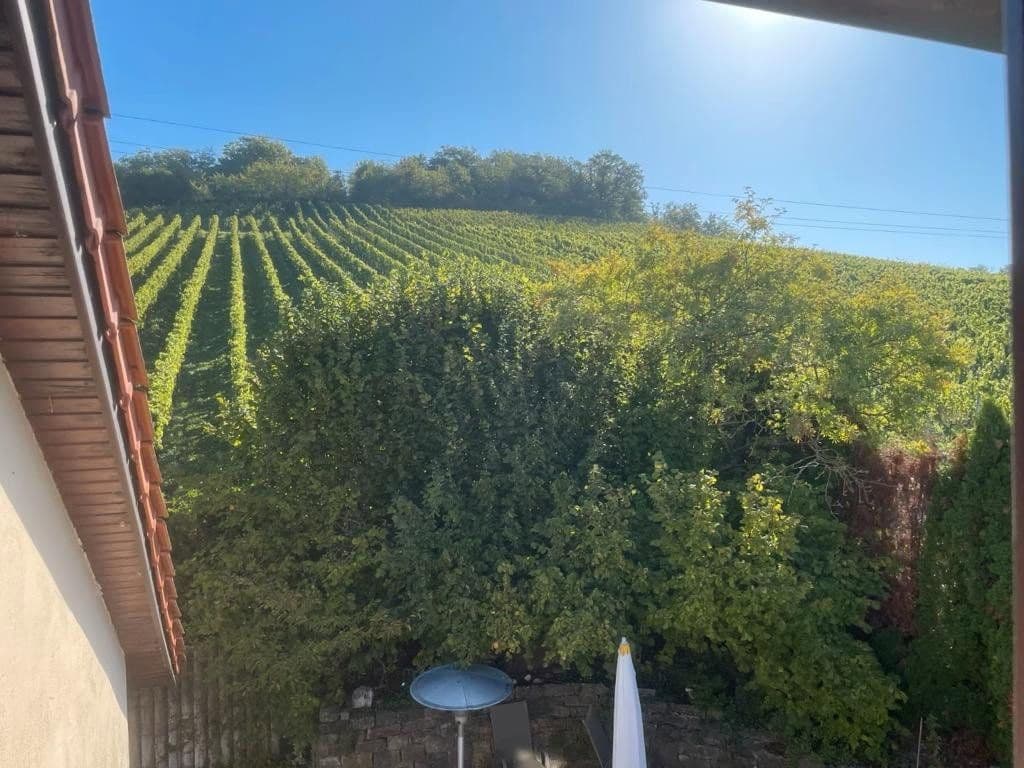 Prodej domu 180 m², pozemek 624 m², Sommerhausen, Bavorsko Prodej domu 180 m², pozemek 624 m², Sommerhausen, Bavorsko