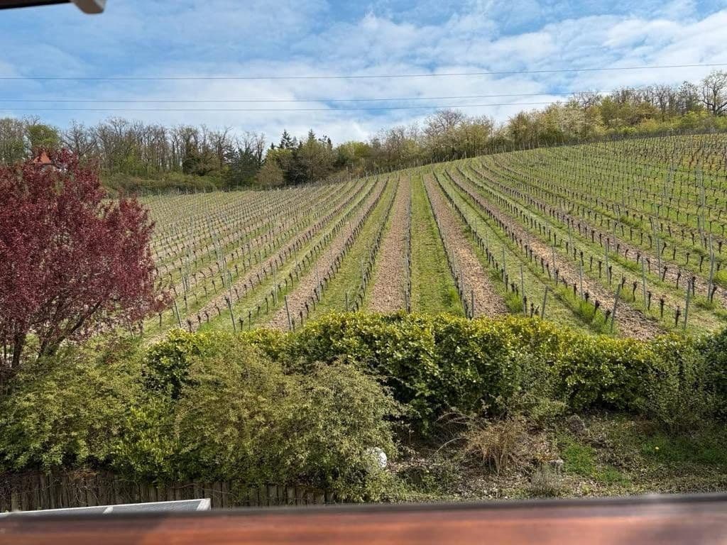 Prodej domu 180 m², pozemek 624 m², Sommerhausen, Bavorsko Prodej domu 180 m², pozemek 624 m², Sommerhausen, Bavorsko