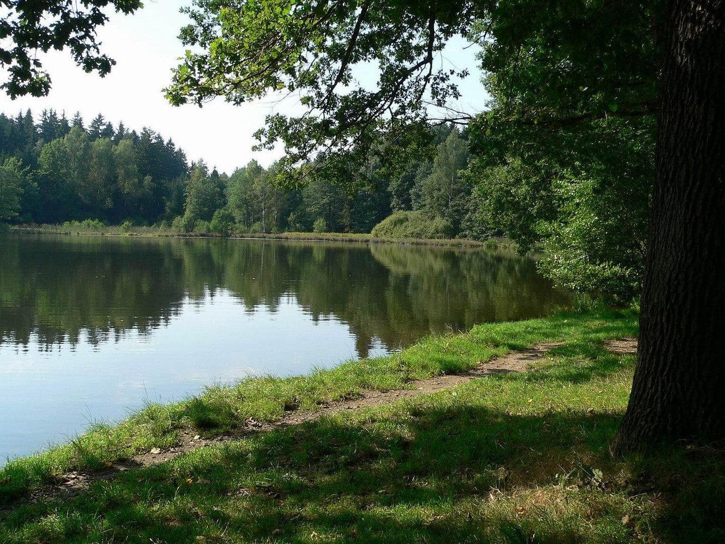 Prodej domu 243 m², pozemek 1.000 m², Zwönitz, Sasko Prodej domu 243 m², pozemek 1.000 m², Zwönitz, Sasko