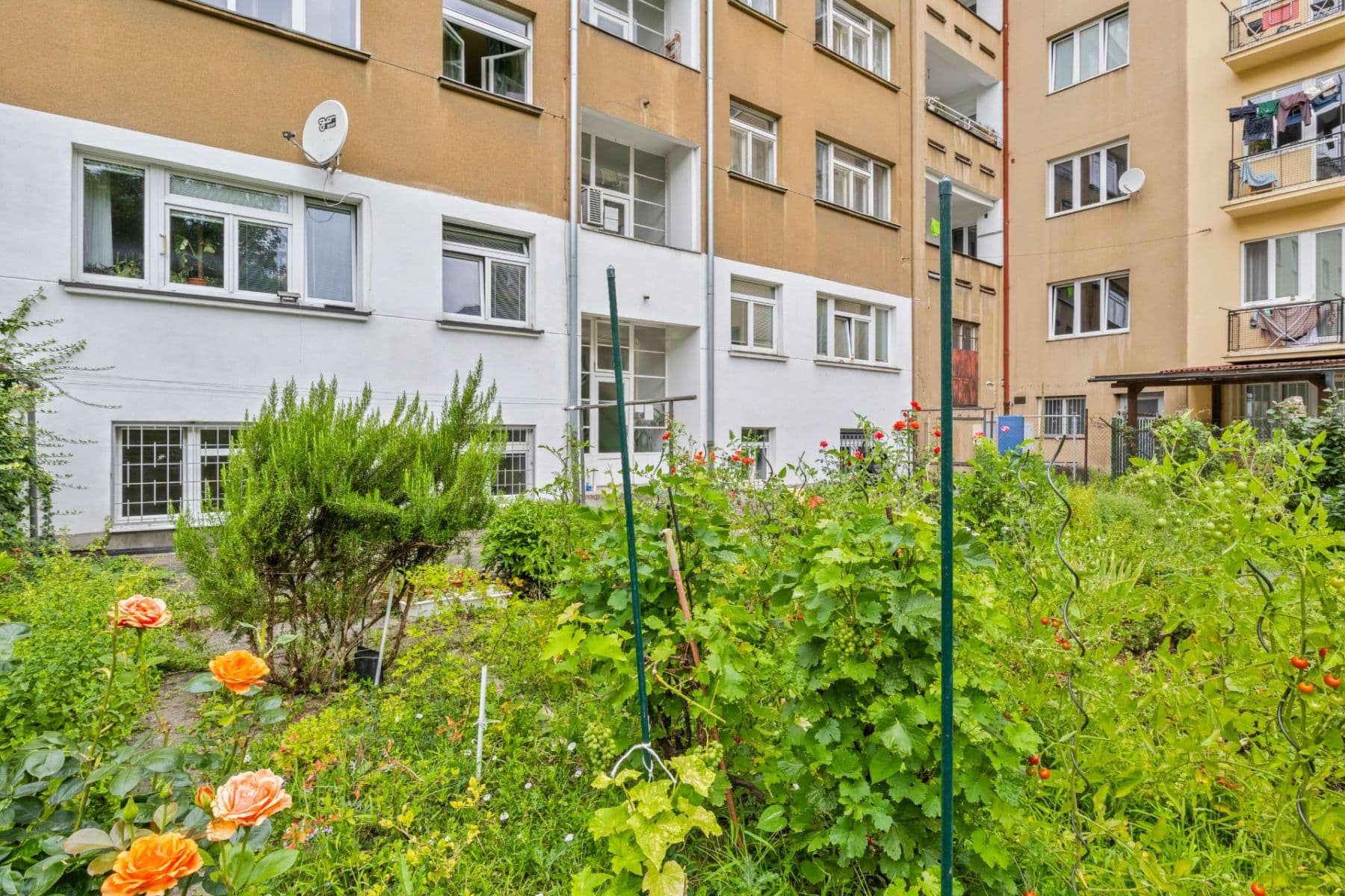 Pronájem bytu 2+kk 44 m², Podolská, Praha, Praha Pronájem bytu 2+kk 44 m², Podolská, Praha, Praha