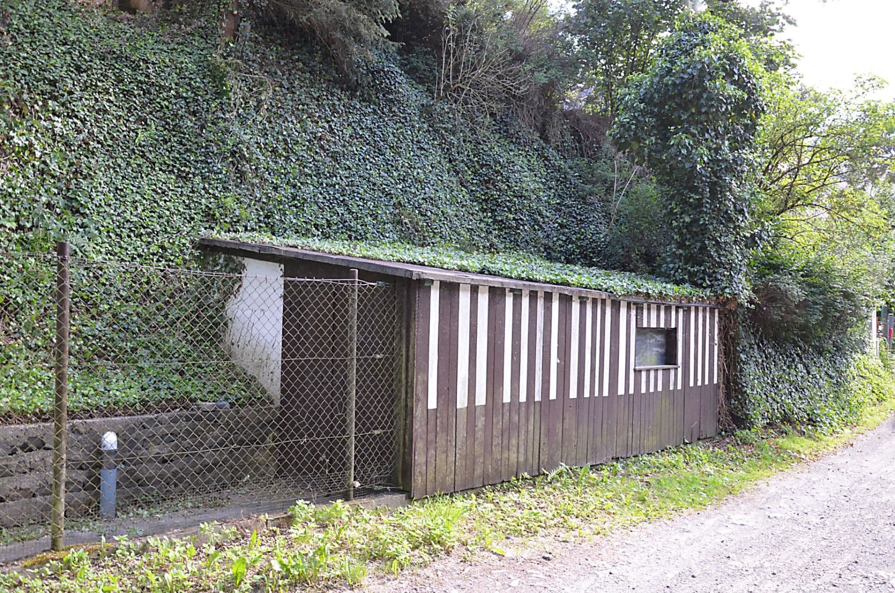 Prodej chaty, chalupy 80 m², pozemek 449 m², Dolní Břežany, Středočeský kraj Prodej chaty, chalupy 80 m², pozemek 449 m², Dolní Břežany, Středočeský kraj