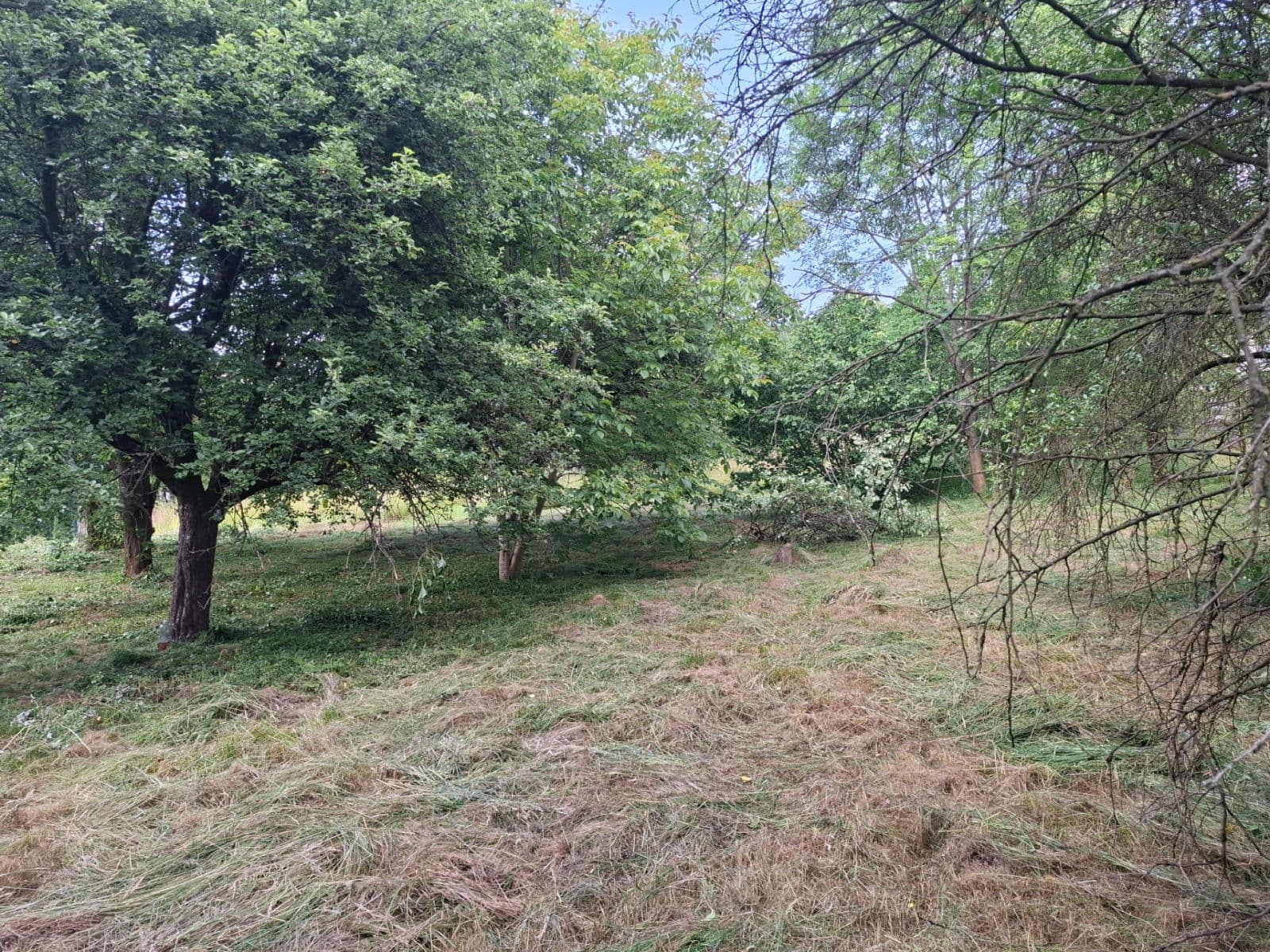 Prodej pozemku 966 m², Ostrava, Moravskoslezský kraj Prodej pozemku 966 m², Ostrava, Moravskoslezský kraj