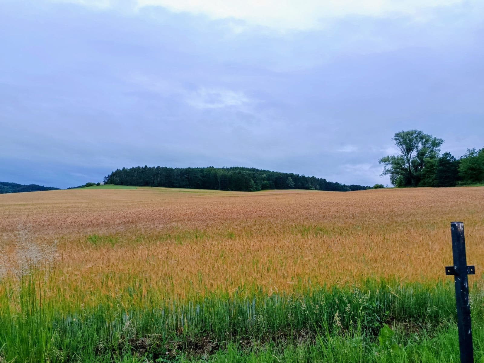 Prodej domu 155 m², pozemek 1.436 m², Sousedovice, Jihočeský kraj Prodej domu 155 m², pozemek 1.436 m², Sousedovice, Jihočeský kraj