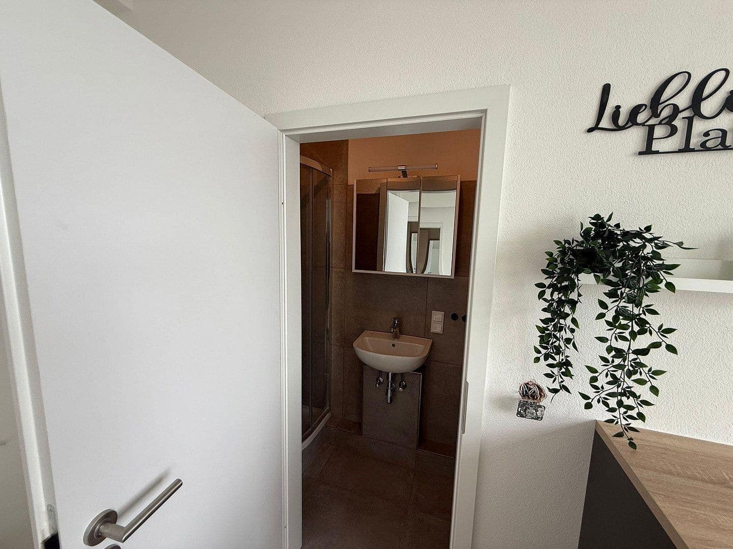 Pronájem bytu 1+1 11 m², Rodheimer Straße 95, Gießen, Hessen Pronájem bytu 1+1 11 m², Rodheimer Straße 95, Gießen, Hessen