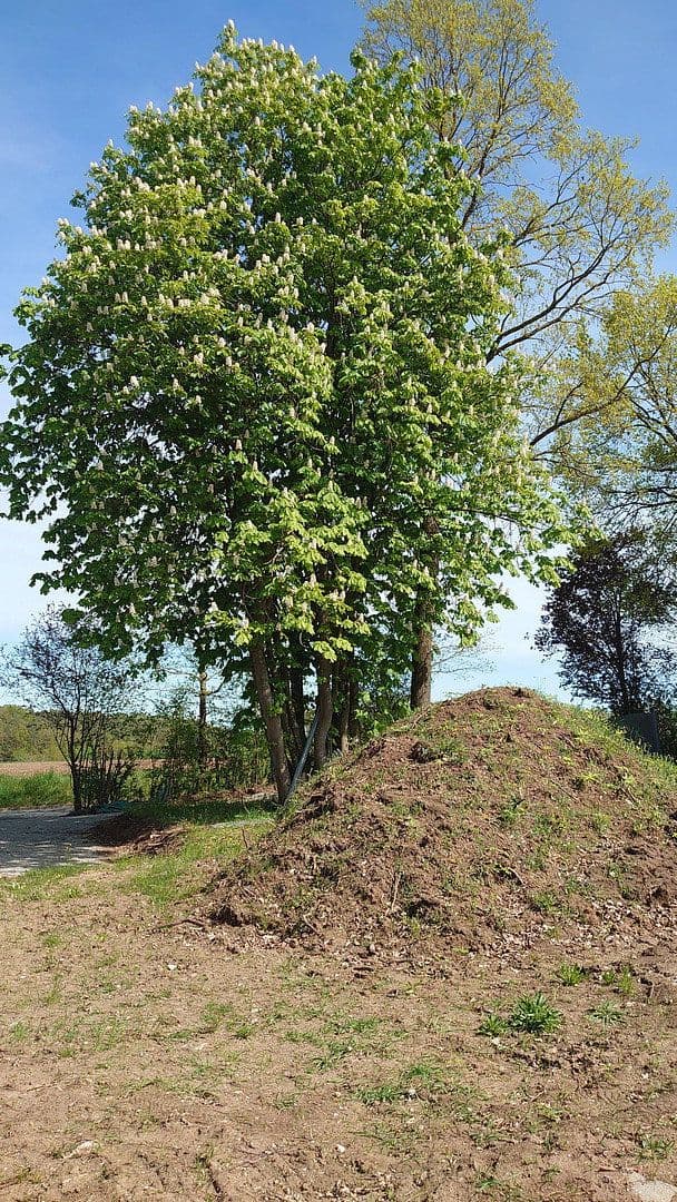 Prodej pozemku 1.864 m², Seubersdorf 19, Dietenhofen, Bavorsko Prodej pozemku 1.864 m², Seubersdorf 19, Dietenhofen, Bavorsko