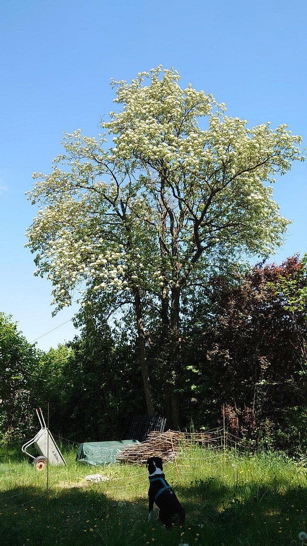 Prodej pozemku 1.864 m², Seubersdorf 19, Dietenhofen, Bavorsko Prodej pozemku 1.864 m², Seubersdorf 19, Dietenhofen, Bavorsko