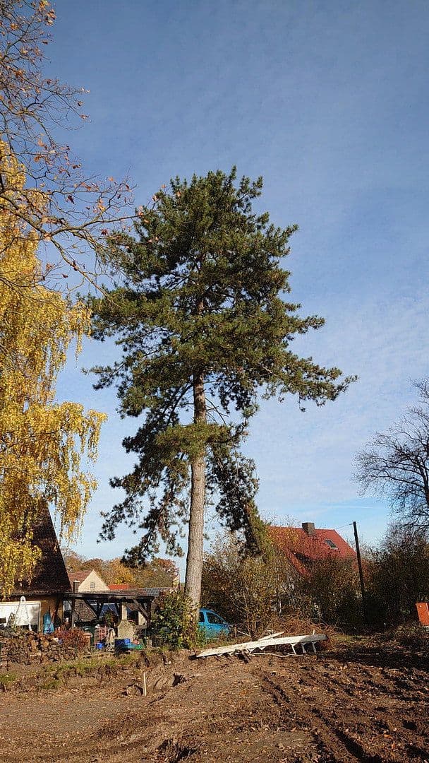 Prodej pozemku 1.864 m², Seubersdorf 19, Dietenhofen, Bavorsko Prodej pozemku 1.864 m², Seubersdorf 19, Dietenhofen, Bavorsko