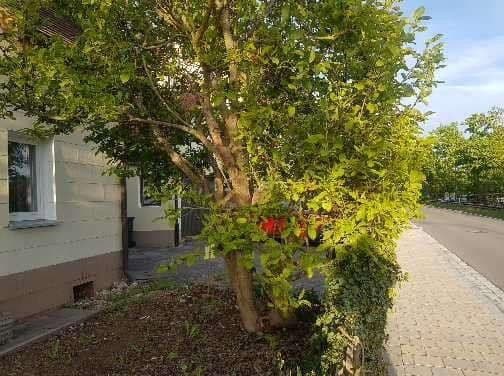 Prodej domu 91 m², pozemek 247 m², Windsbach, Bavorsko Prodej domu 91 m², pozemek 247 m², Windsbach, Bavorsko