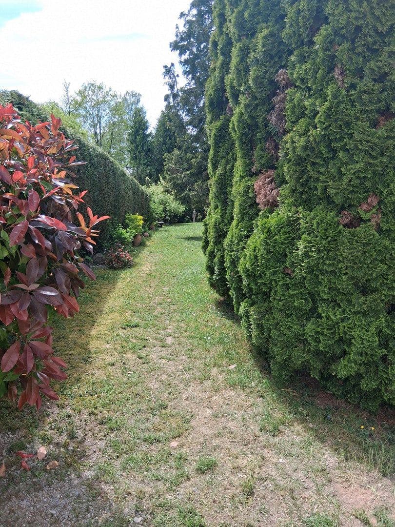 Prodej domu 300 m², pozemek 1.300 m², Mandelbachtal, Země Sársko Prodej domu 300 m², pozemek 1.300 m², Mandelbachtal, Země Sársko
