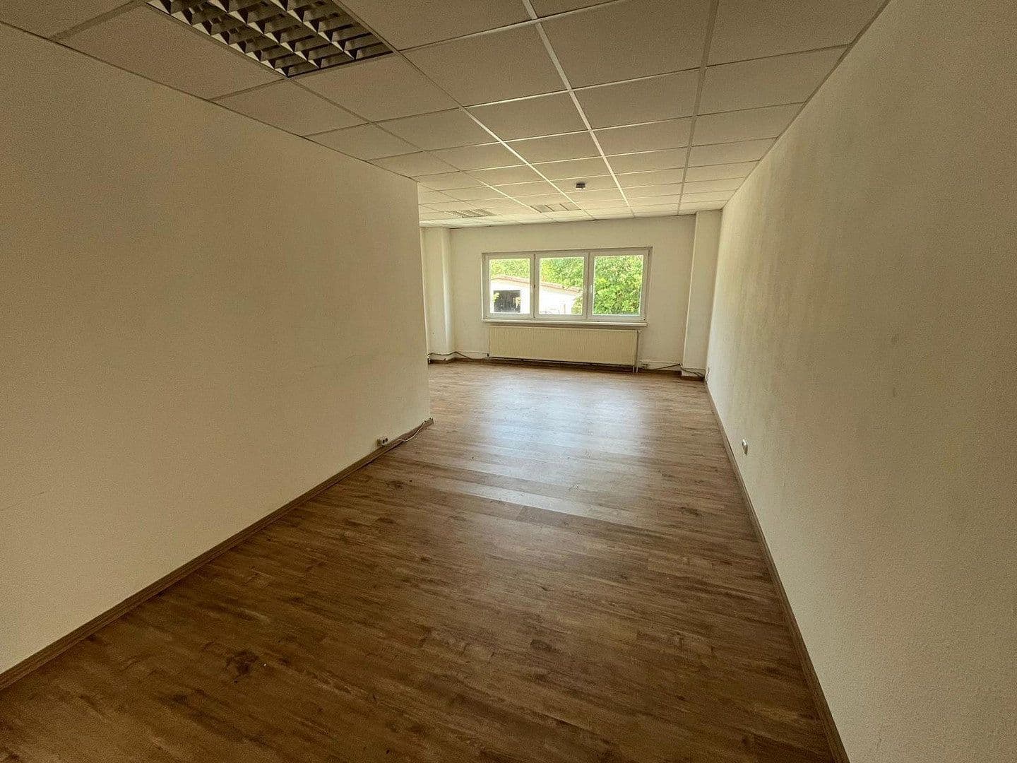 Pronájem nebytového prostoru 6.000 m², Beckebohnen 11, Liebenau, Dolní Sasko Pronájem nebytového prostoru 6.000 m², Beckebohnen 11, Liebenau, Dolní Sasko