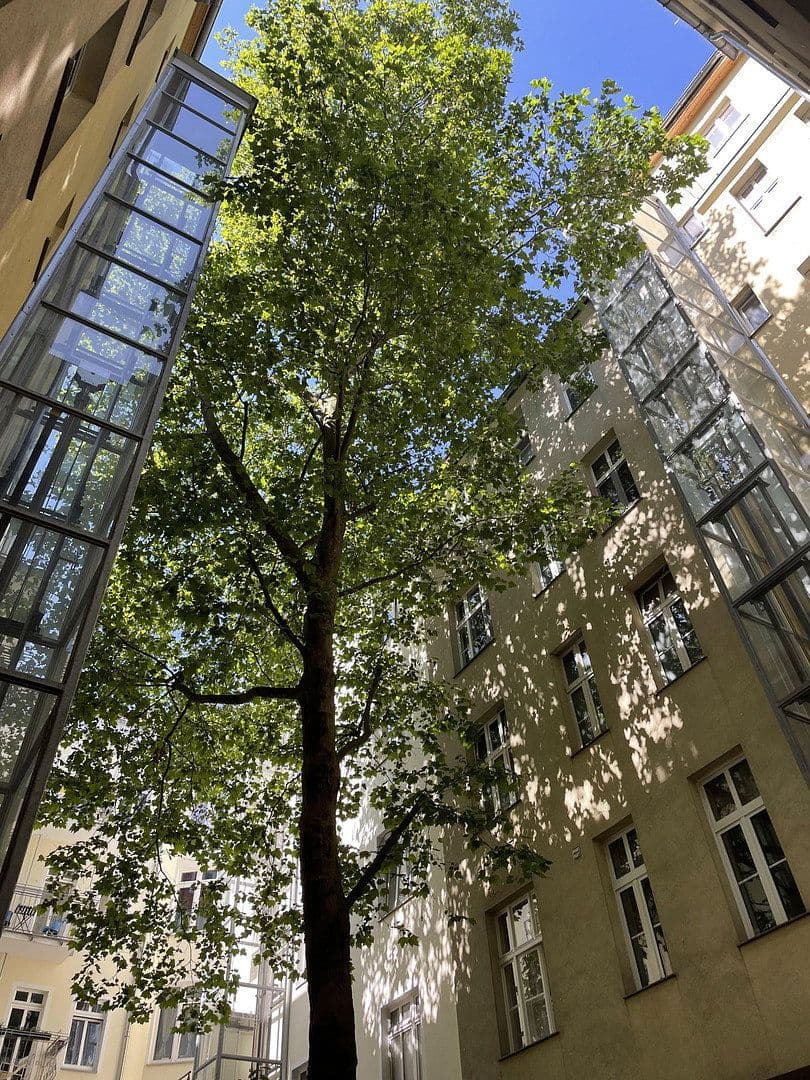 Prodej bytu 1+1 52 m², Berlin Prenzlauerberg, Berlín Prodej bytu 1+1 52 m², Berlin Prenzlauerberg, Berlín