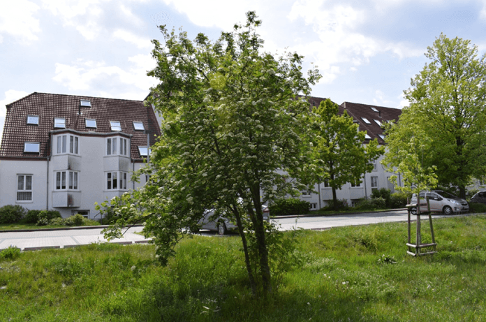 Pronájem bytu 3+1 75 m², Veilchenweg 3, Wildau, Braniborsko Pronájem bytu 3+1 75 m², Veilchenweg 3, Wildau, Braniborsko