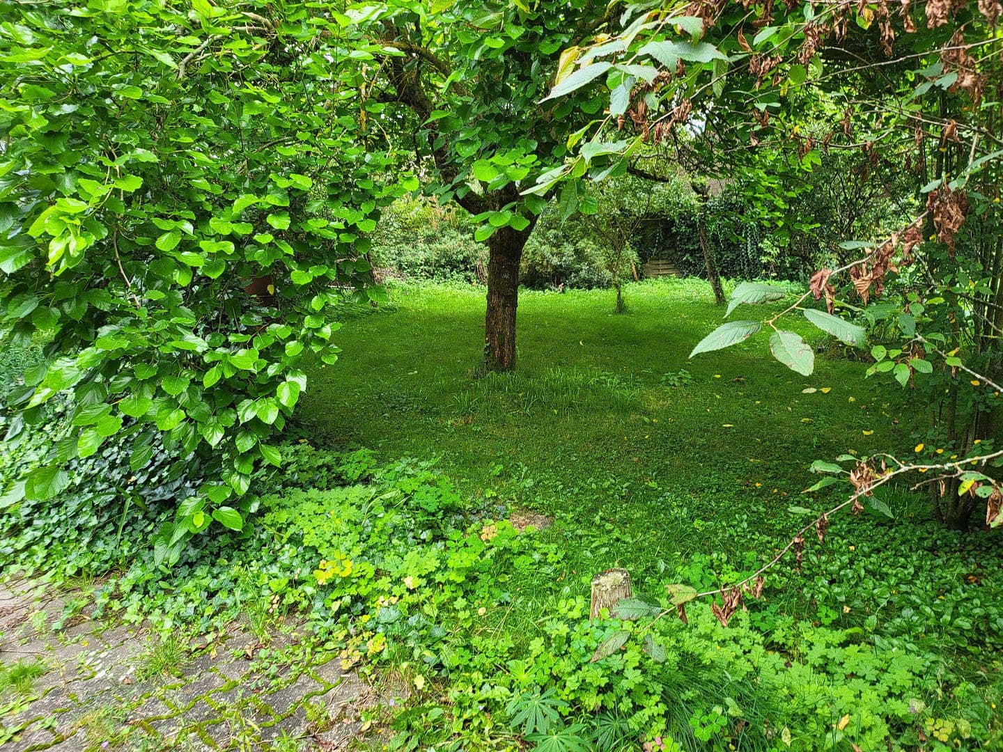 Pronájem bytu 2+1 80 m², Breiter Weg 6, Auderath, Porýní-Falc Pronájem bytu 2+1 80 m², Breiter Weg 6, Auderath, Porýní-Falc