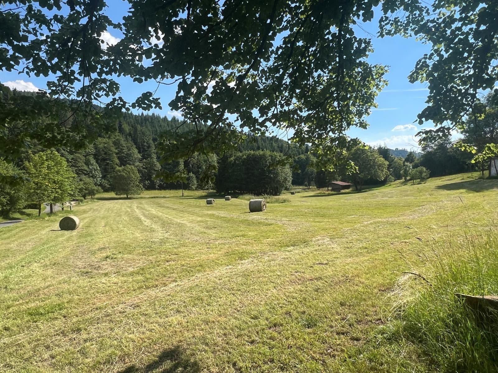Prodej pozemku 9.000 m², Držková, Zlínský kraj Prodej pozemku 9.000 m², Držková, Zlínský kraj
