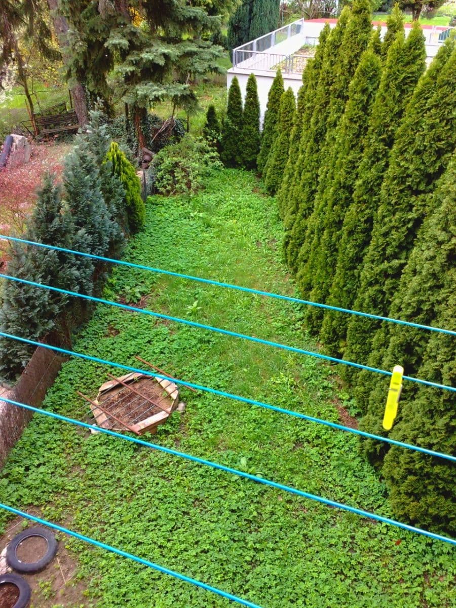 Pronájem bytu 1+1 40 m², Karáskovo náměstí, Brno, Jihomoravský kraj Pronájem bytu 1+1 40 m², Karáskovo náměstí, Brno, Jihomoravský kraj