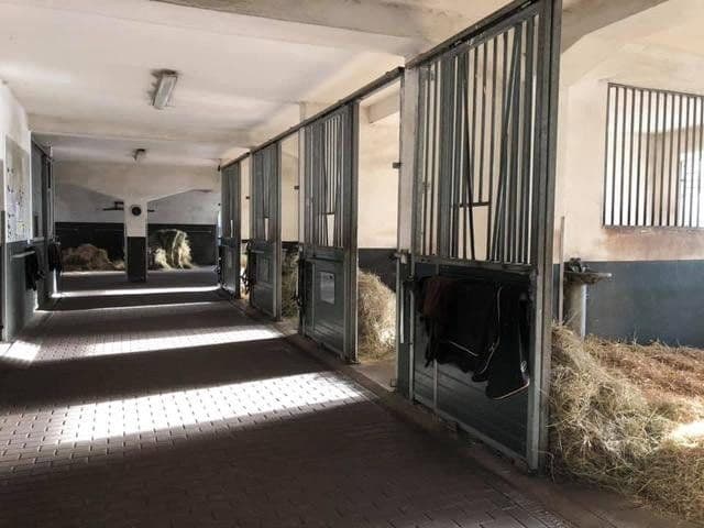 Pronájem chaty, chalupy 63.000 m², Gülzow-Prüzen, Mecklenburg-Vorpommern Pronájem chaty, chalupy 63.000 m², Gülzow-Prüzen, Mecklenburg-Vorpommern