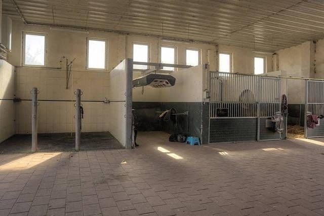 Pronájem chaty, chalupy 63.000 m², Gülzow-Prüzen, Mecklenburg-Vorpommern Pronájem chaty, chalupy 63.000 m², Gülzow-Prüzen, Mecklenburg-Vorpommern