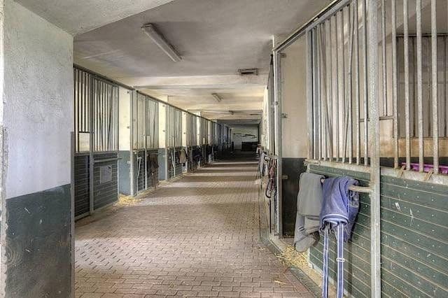 Pronájem chaty, chalupy 63.000 m², Gülzow-Prüzen, Mecklenburg-Vorpommern Pronájem chaty, chalupy 63.000 m², Gülzow-Prüzen, Mecklenburg-Vorpommern