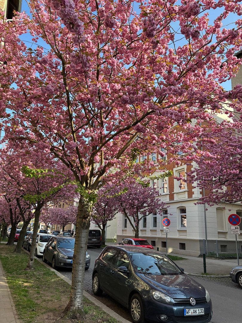 Pronájem bytu 2+1 62 m², Braunschweig, Dolní Sasko Pronájem bytu 2+1 62 m², Braunschweig, Dolní Sasko