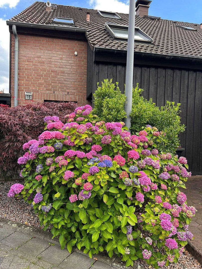 Prodej domu 126 m², pozemek 250 m², Gelsenkirchen, Severní Porýní-Vestfálsko Prodej domu 126 m², pozemek 250 m², Gelsenkirchen, Severní Porýní-Vestfálsko