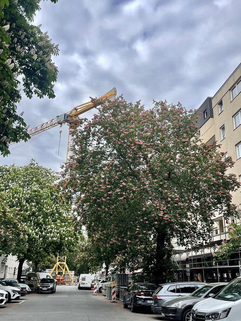 Prodej bytu 2+1 51 m², Berlin, Berlín Prodej bytu 2+1 51 m², Berlin, Berlín