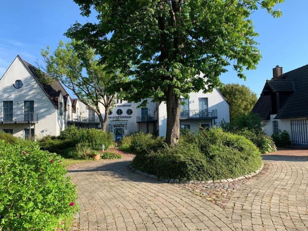 Prodej nebytového prostoru 6.000 m², Poggenhof 25, Schaprode, Mecklenburg-Vorpommern Prodej nebytového prostoru 6.000 m², Poggenhof 25, Schaprode, Mecklenburg-Vorpommern