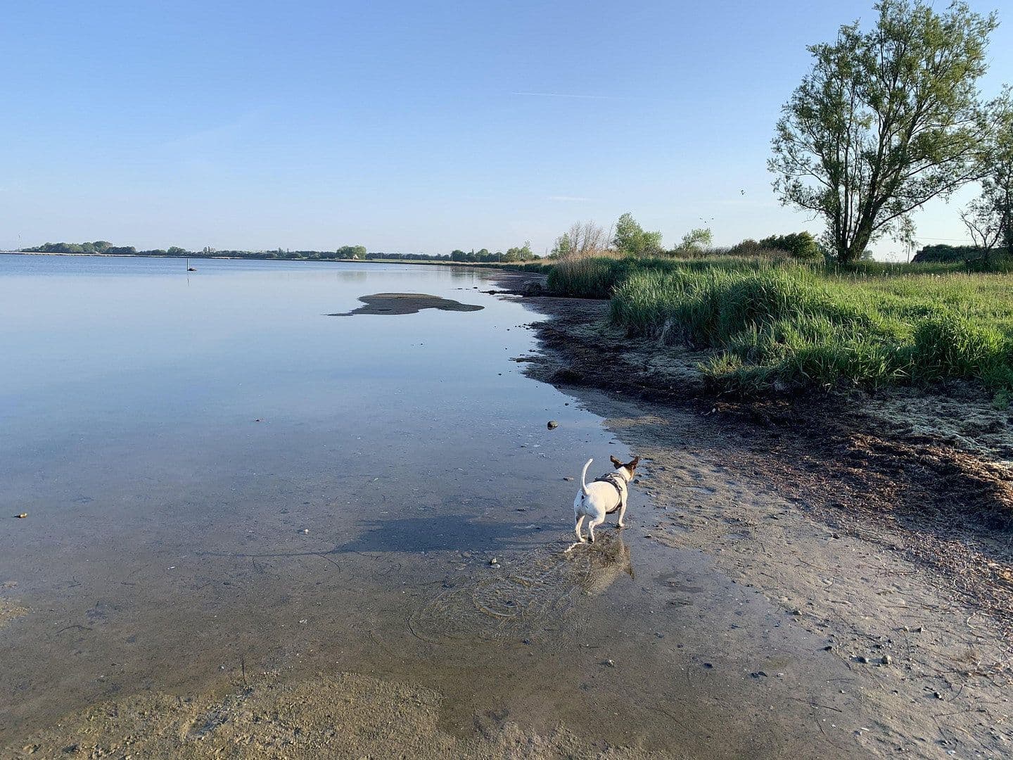 Prodej nebytového prostoru 6.000 m², Poggenhof 25, Schaprode, Mecklenburg-Vorpommern Prodej nebytového prostoru 6.000 m², Poggenhof 25, Schaprode, Mecklenburg-Vorpommern