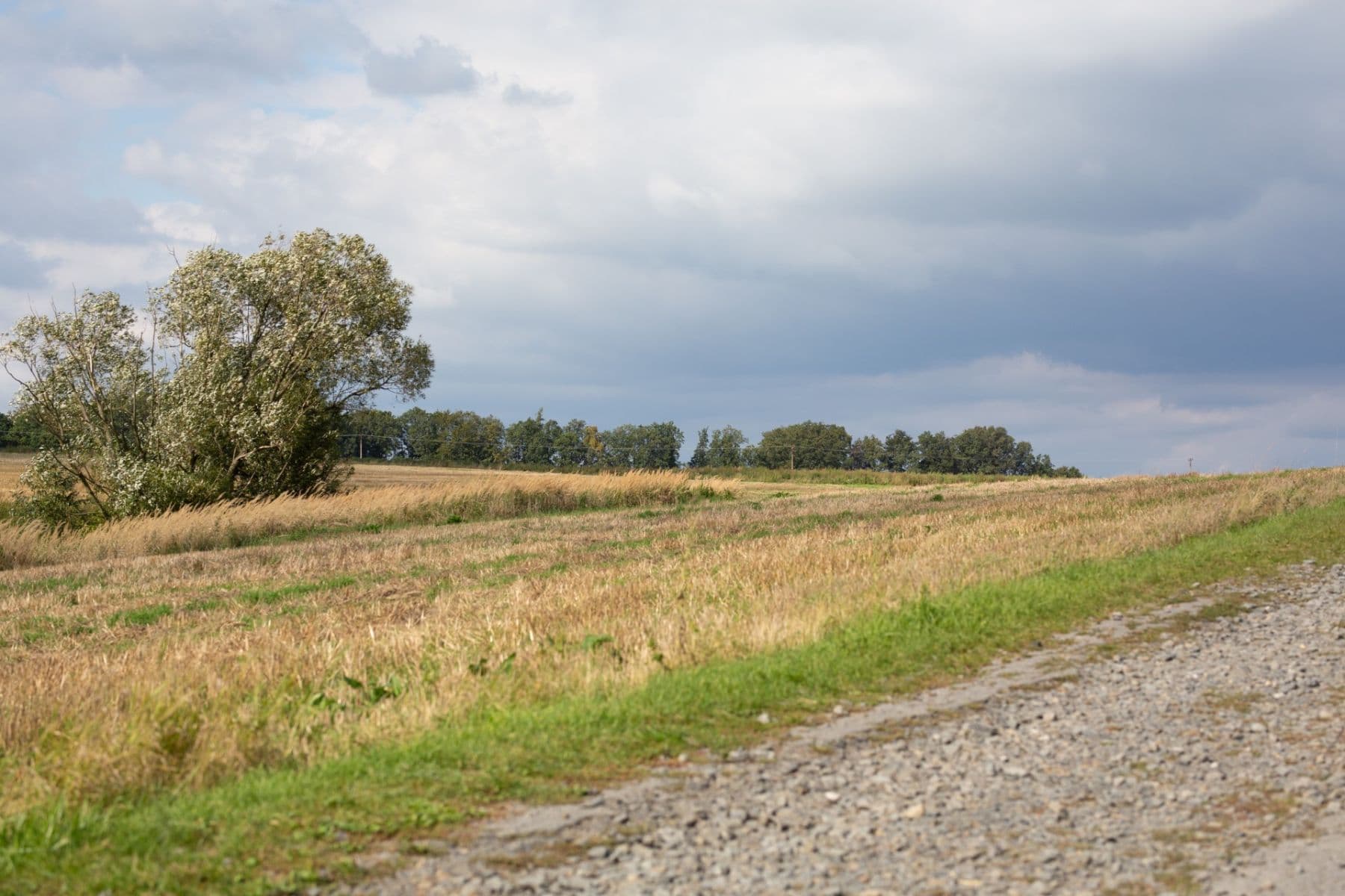 Prodej chaty, chalupy 237 m², pozemek 1.085 m², Březová, Moravskoslezský kraj Prodej chaty, chalupy 237 m², pozemek 1.085 m², Březová, Moravskoslezský kraj