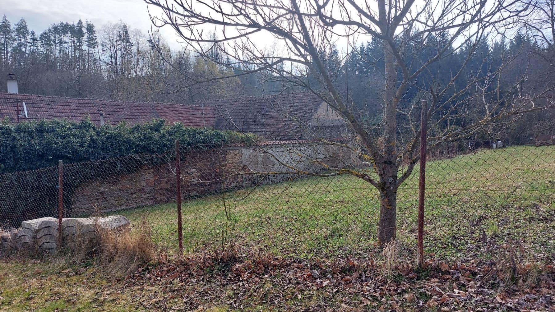 Prodej pozemku 438 m², Senožaty, Kraj Vysočina Prodej pozemku 438 m², Senožaty, Kraj Vysočina