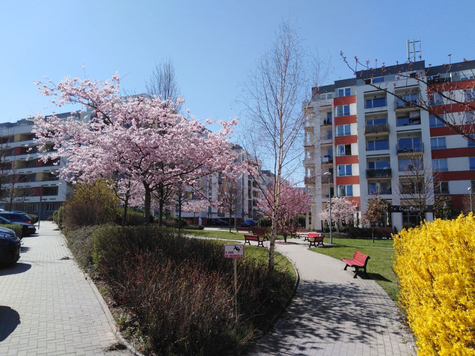 Prodej bytu 1+kk 30 m², Míšovická, Praha, Praha Prodej bytu 1+kk 30 m², Míšovická, Praha, Praha