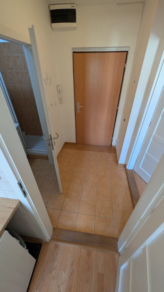 Pronájem bytu 1+1 36 m², Žerotínova, Praha, Praha Pronájem bytu 1+1 36 m², Žerotínova, Praha, Praha