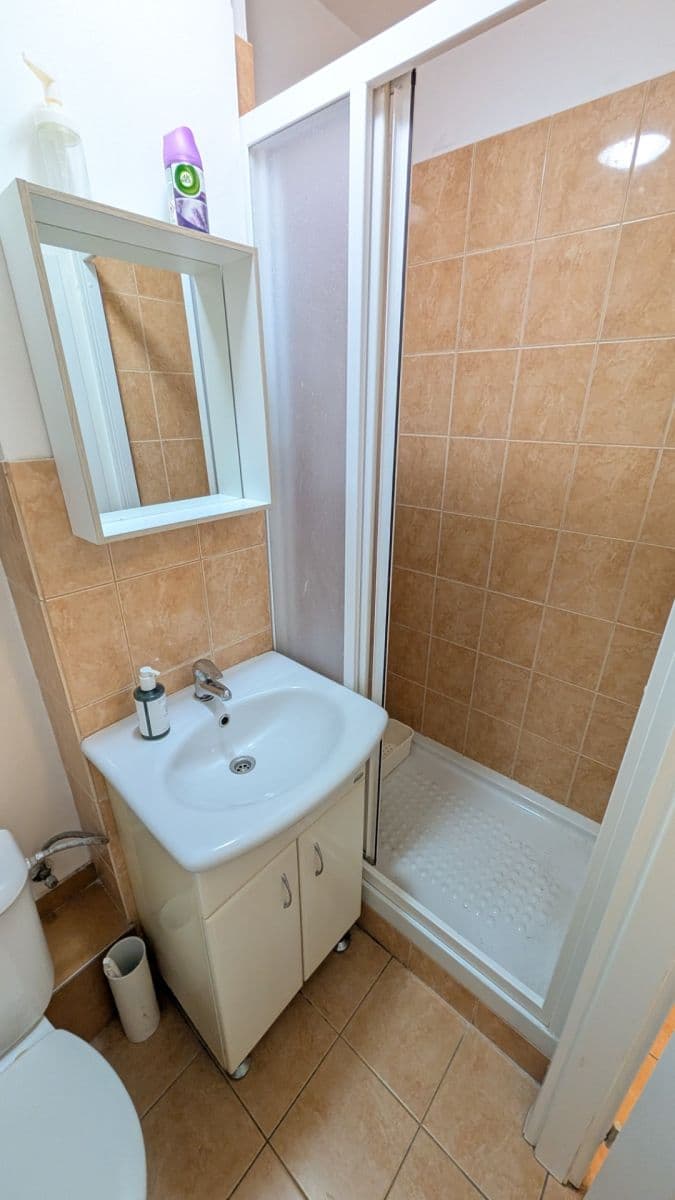 Pronájem bytu 1+1 36 m², Žerotínova, Praha, Praha Pronájem bytu 1+1 36 m², Žerotínova, Praha, Praha
