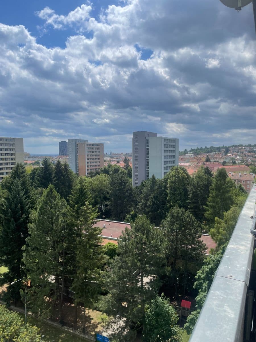 Pronájem bytu 1+kk 28 m², Voroněžská, Brno, Jihomoravský kraj Pronájem bytu 1+kk 28 m², Voroněžská, Brno, Jihomoravský kraj