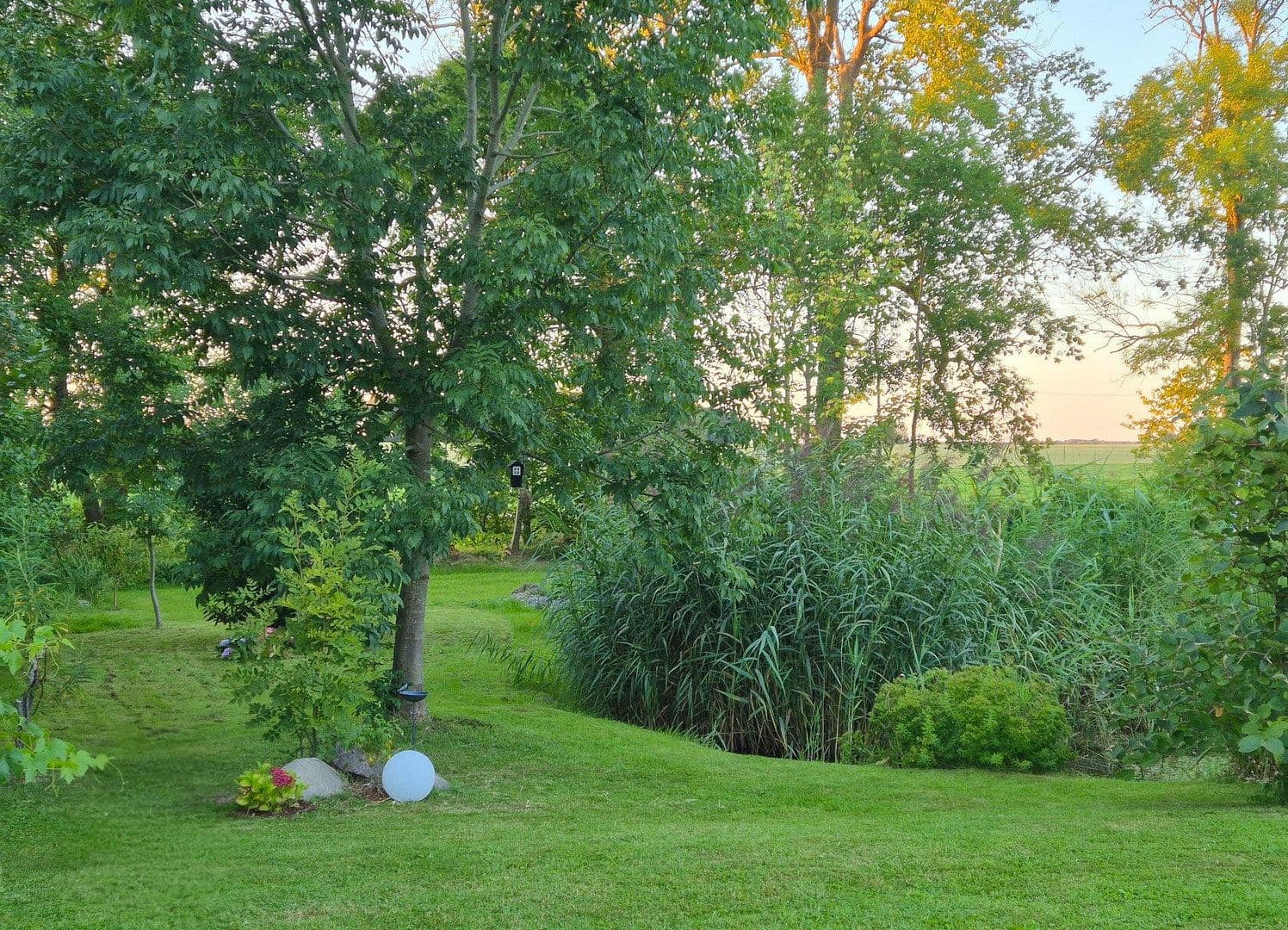 Prodej domu 115 m², pozemek 1.705 m², Zur Schoritzer Wiek 49, Garz/Rügen, Mecklenburg-Vorpommern Prodej domu 115 m², pozemek 1.705 m², Zur Schoritzer Wiek 49, Garz/Rügen, Mecklenburg-Vorpommern