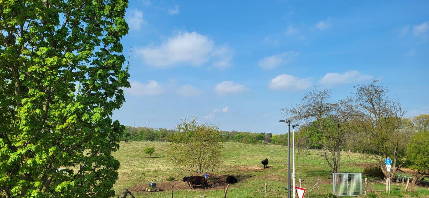 Prodej domu 135 m², pozemek 300 m², Leverkusen, Severní Porýní-Vestfálsko Prodej domu 135 m², pozemek 300 m², Leverkusen, Severní Porýní-Vestfálsko
